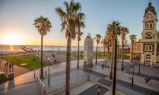 a group of palm trees with a building in the background