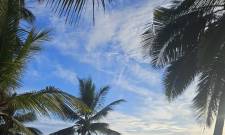 Guest Review - Nicola Hunt