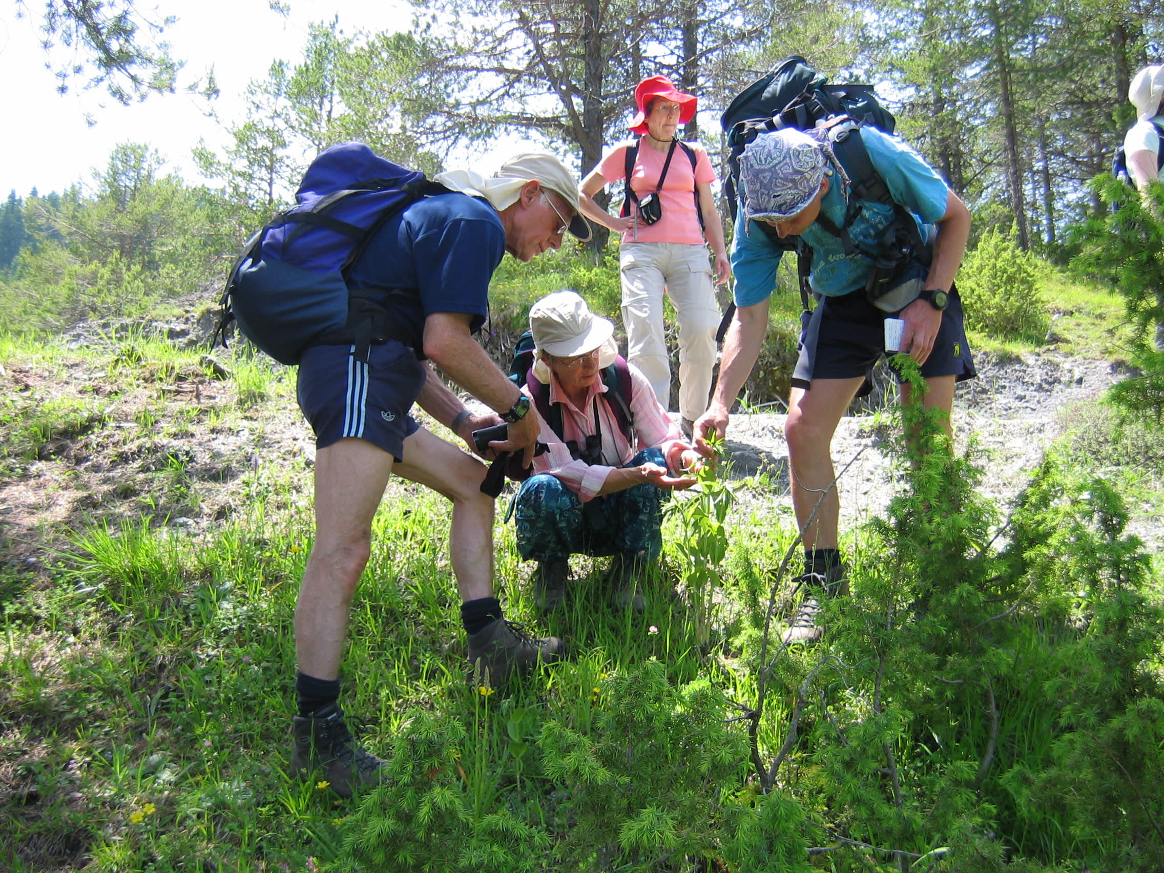 Fostering Bear-Human Coexistence in Bulgaria’s Rodopi Mountains