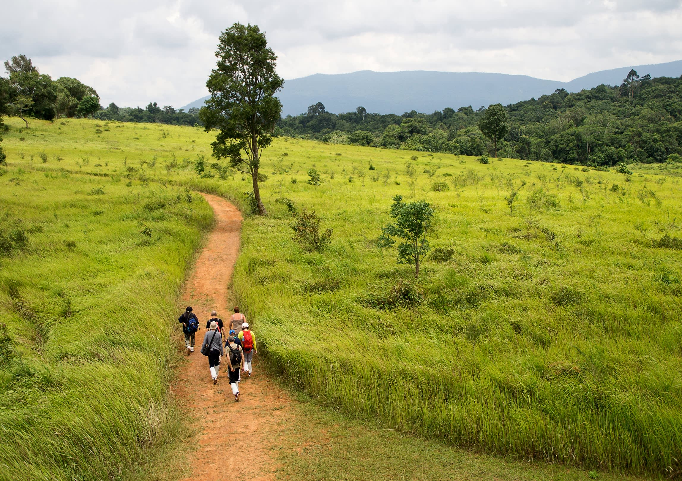 Reisetipps für Ihre Thailand Reise 2025