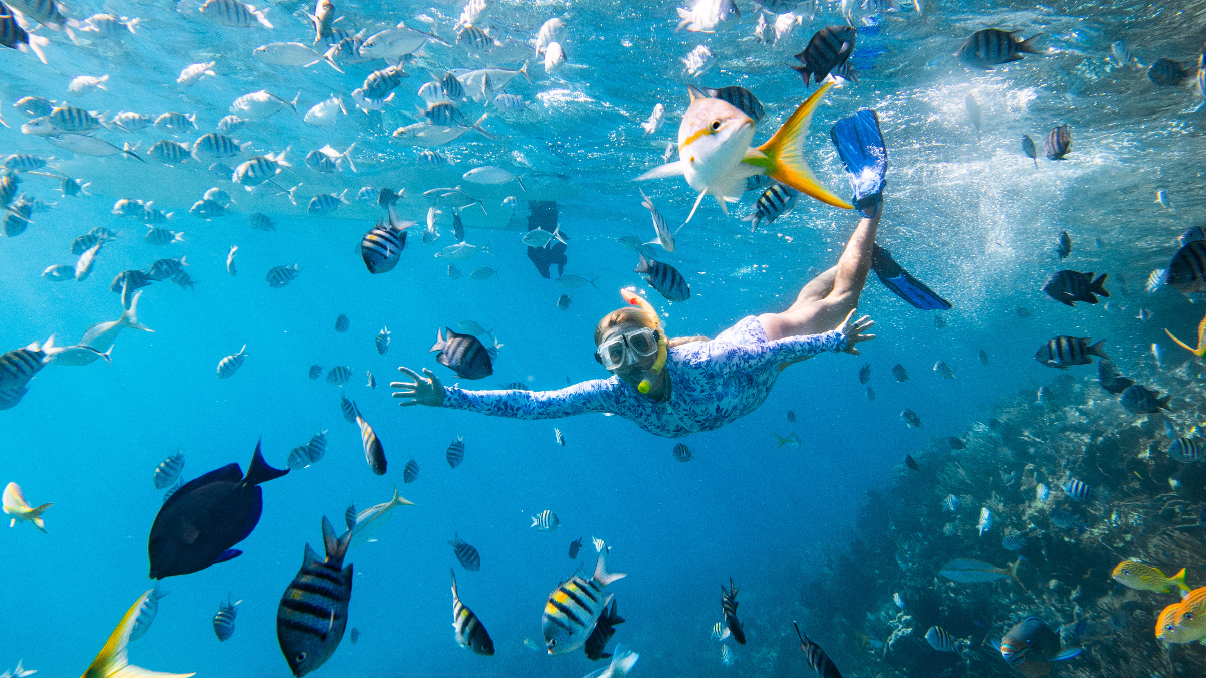 Snorkeling in the Exumas Bahamas