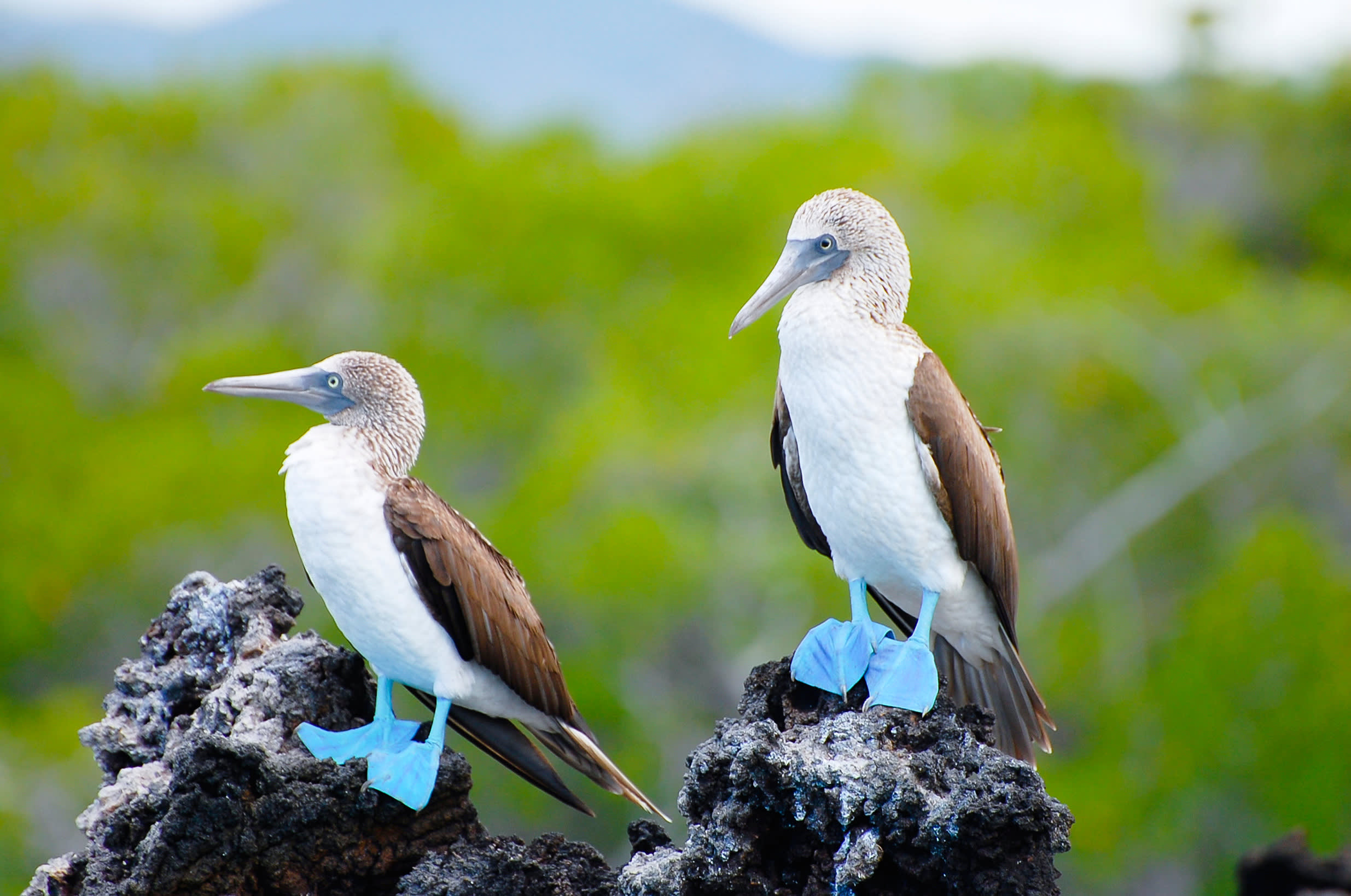 Best Places to Visit in the Galapagos Islands