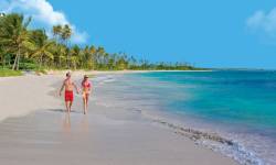 Corporate Team Building Packages