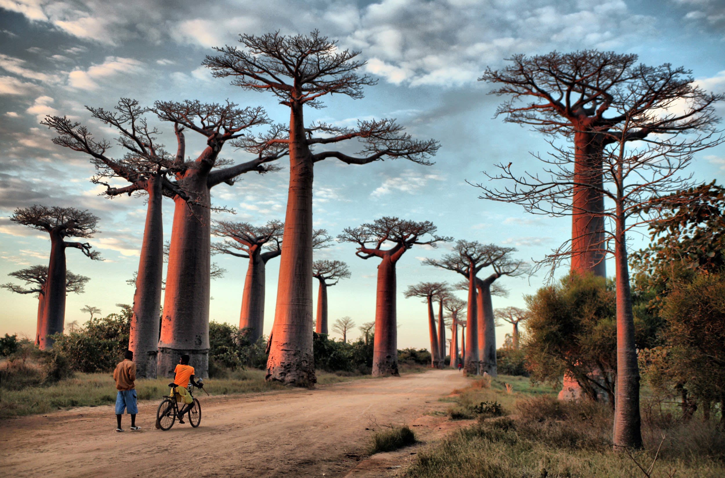 African Natural Beauty