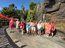 Travel Deals