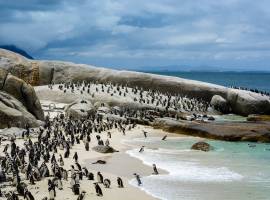 South-Africa-Safari-Tour-YMT