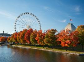 Old Port of Montreal in autumn. Red maples and old Montreal skyline reflected on St. Lawrence River. Fall foliage season in Montreal, Quebec, Canada