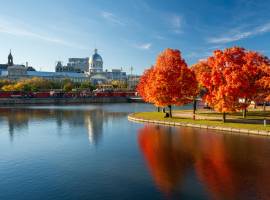 Old Port of Montreal in autumn. Red maples and old Montreal buildings skyline reflected on St. Lawrence River. Fall foliage season in Montreal, Quebec, Canada