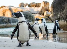 Know Your Destination – South Africa Safari Tour-2