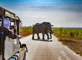 Know Your Destination – South Africa Safari Tour-2