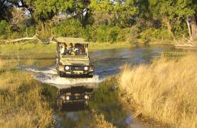 Discover the Best Time to Visit the Okavango Delta