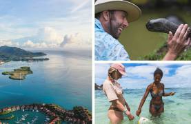 Amazing wildlife in the Seychelles