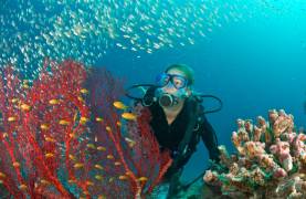 Novedades en las Islas Vírgenes