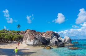 bvi