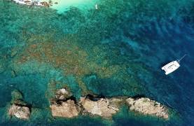 Explore the Wonders of St. Martin on a Crewed Charter