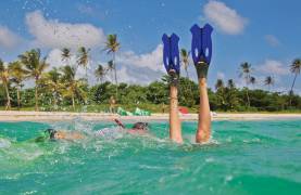 Where to Sail in November