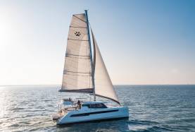 Leopard 50 Model Guide
