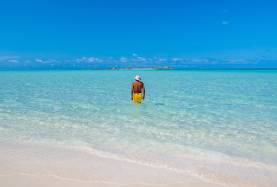 Abacos