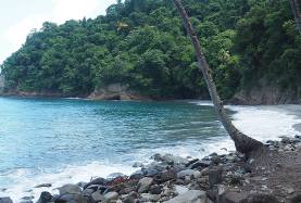 Anse du Ceron, Martinique