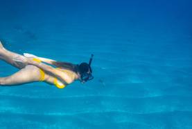 Snorkeling in St Martin