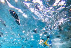 Close to Home, Miles from Ordinary – Bahamas