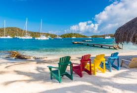 The BoatU.S. Member Flotilla 