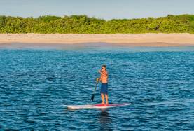 Best Diving in St Maarten