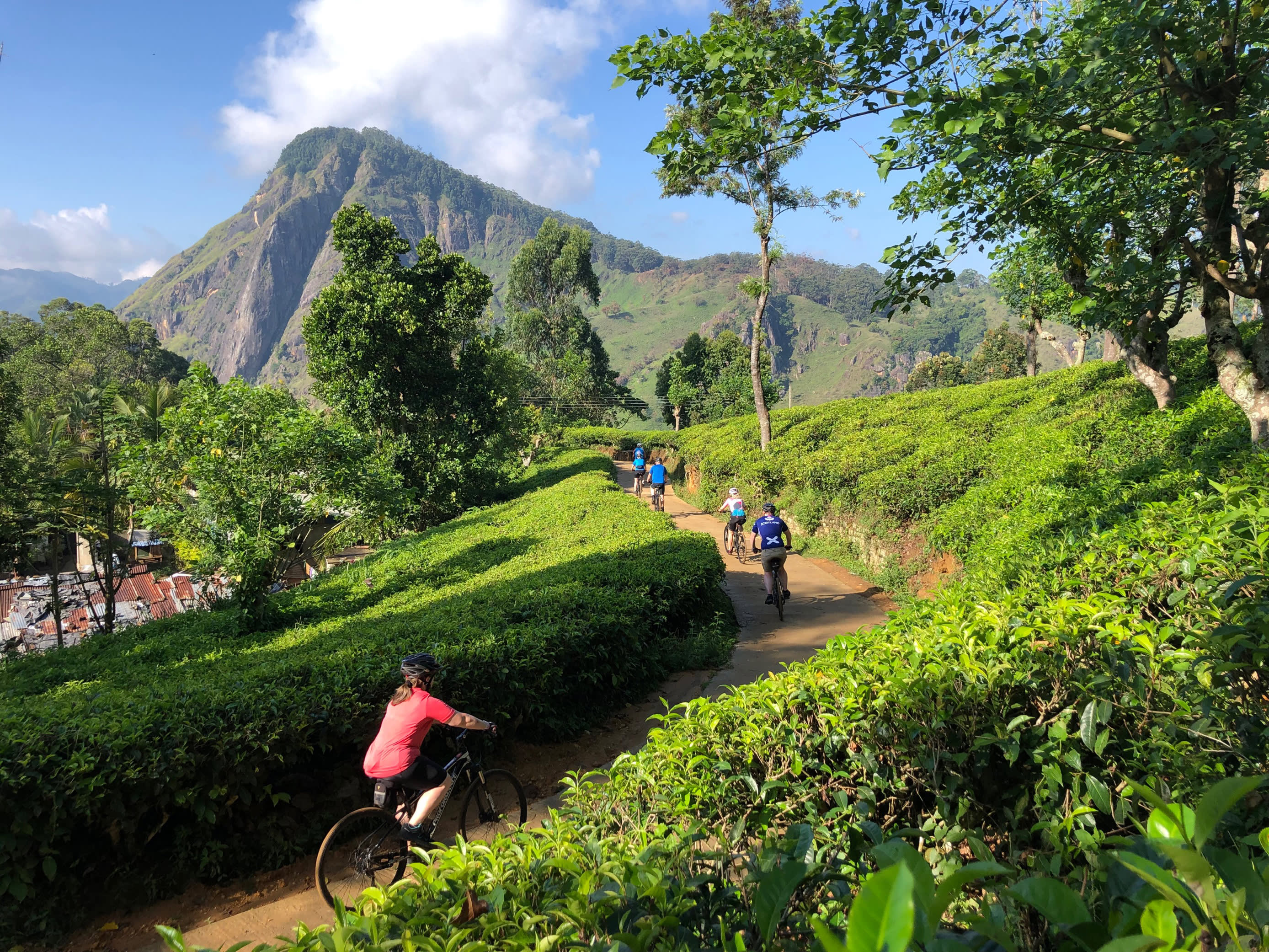 Island Insider: The Best Way to Explore Sri Lanka? Here Are Your Top 3 Options 
