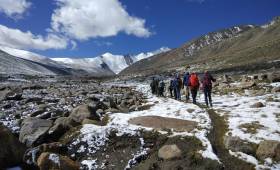 Search for Snow Leopards with Valerie Parkinson