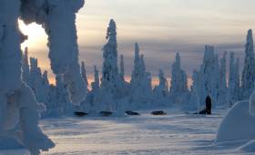 Riisitunturi National Park, Finland (photo by Erkki Ollila)