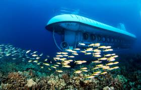 Best of Hawaii Four Island Tour