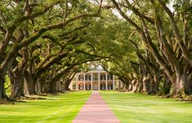 New Orleans & Western Caribbean Cruise