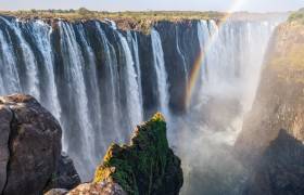 Into The Wild: South African Safari Adventure