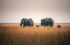 Where Adventure Holidays Begin