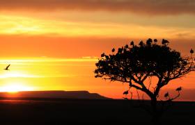 African sunset