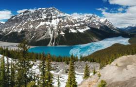 Peyto Lake