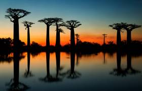 Madagascar