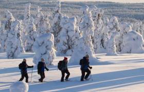 Snowshoeing in Finland