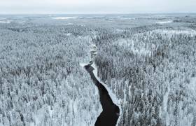 Oulanka National Park, Finland