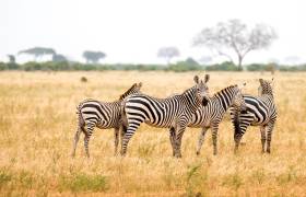 How to Prepare for Your First Walking Holiday