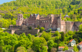 Rhine River Cruise in Tulip Season 2026