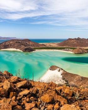 Sea of Cortez