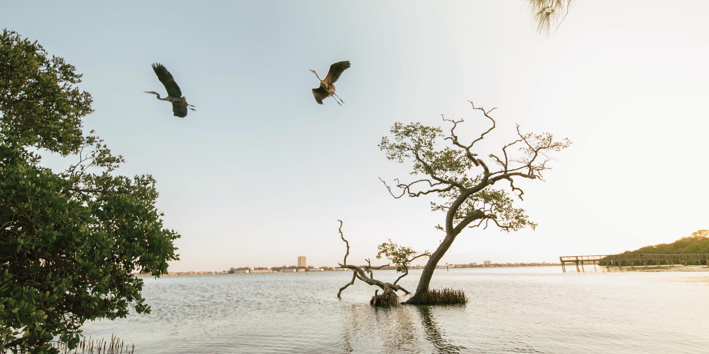Quick Point Nature Preserve Florida - Image credit: Visit Sarasota