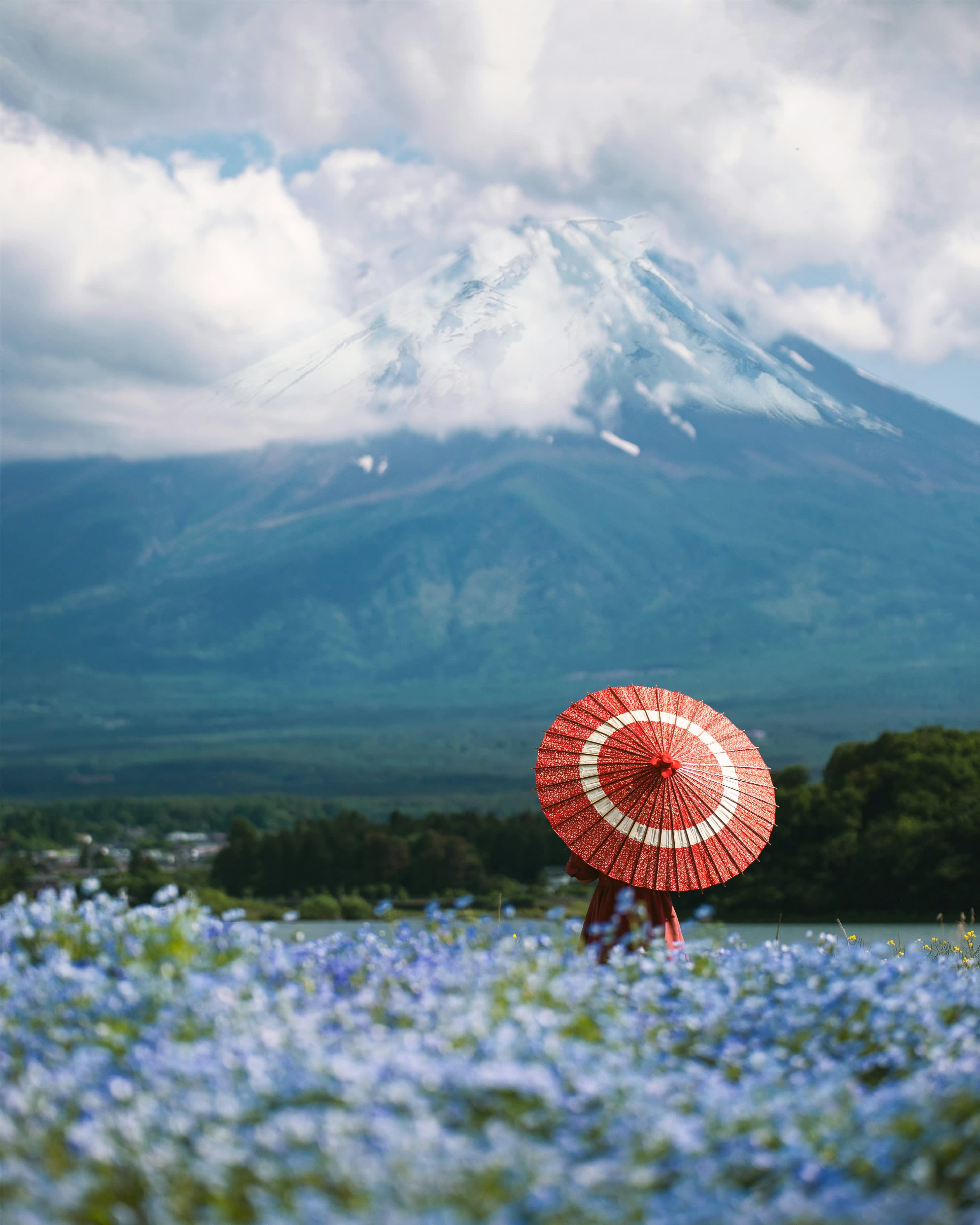 Person holding a red Japanese parasol in a blue flower field with snow-capped Mount Fuji in the background.