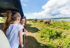 Best of Sri Lanka – Family Adventure