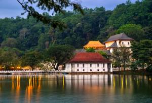 Sri Lankan Highlights