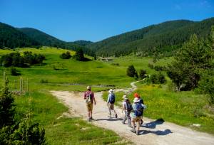 Hike Bulgaria’s Rodopi Mountains