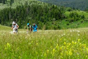 Hike Bulgaria’s Rodopi Mountains