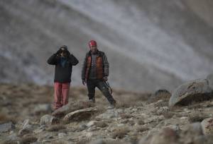Search for Snow Leopards with Valerie Parkinson