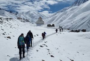 Search for Snow Leopards with Valerie Parkinson